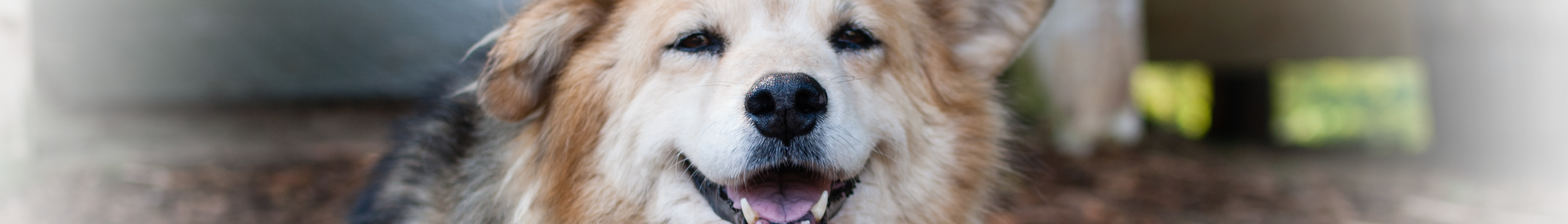 Image From Tallahassee