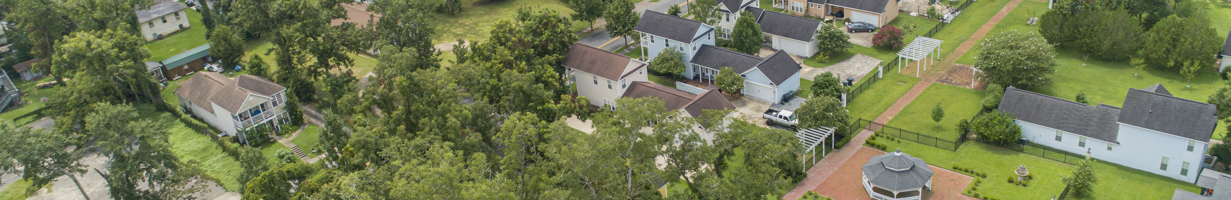 Image From Tallahassee