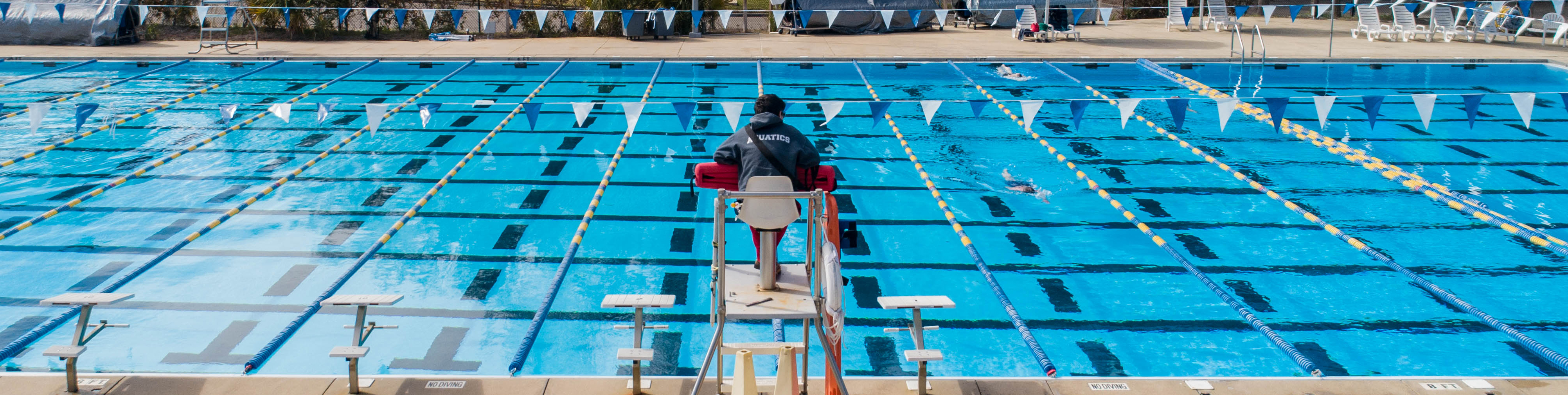 Image From Tallahassee