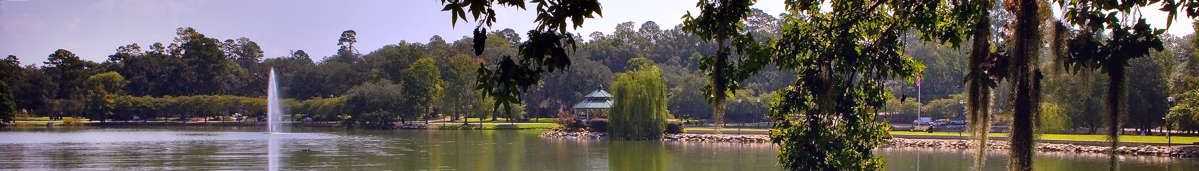 Image From Tallahassee